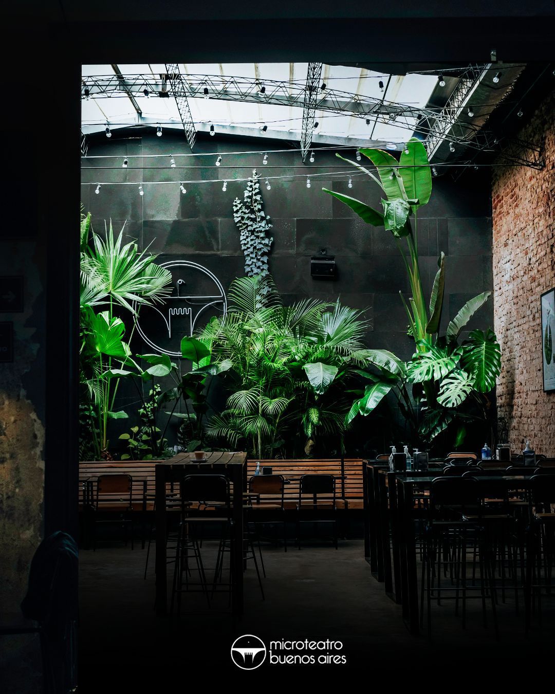 Interior con plantas