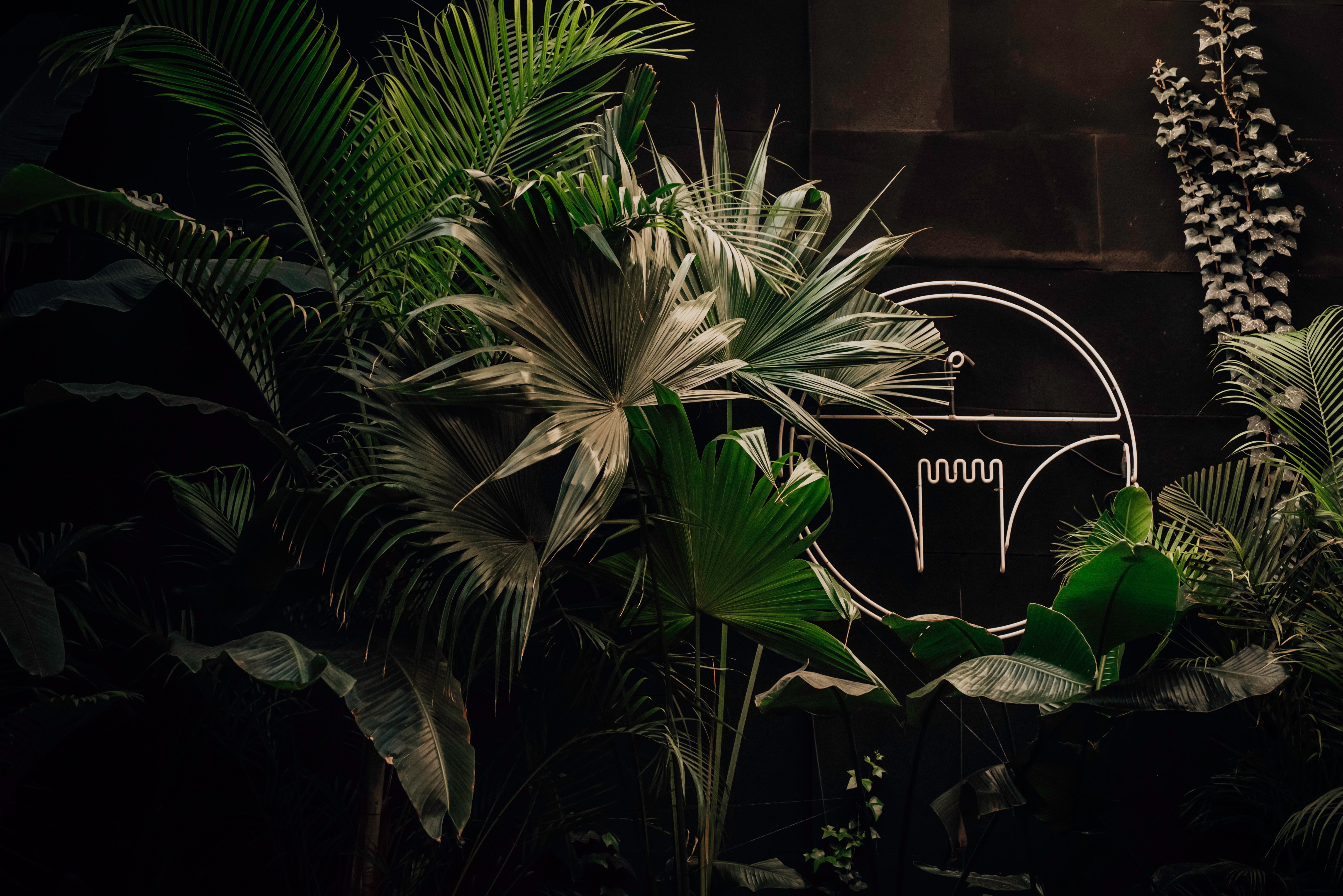 Interior del Microteatro Buenos Aires